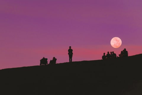 silhouette of people in front of purple sky and moon