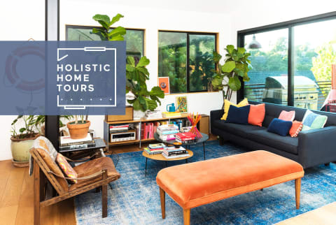 colorful living room with blue rug and large plants