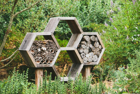 insect hotel in garden