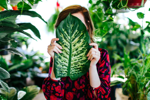 woman with big leaf in greenhouse 