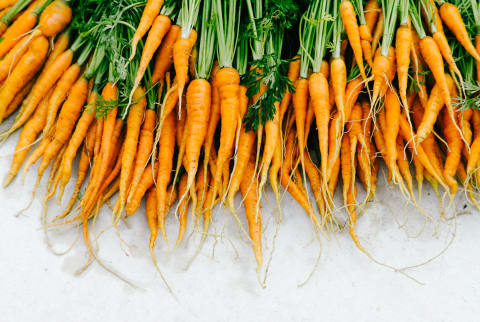 Freshly Harvested Carrots with Green Tops
