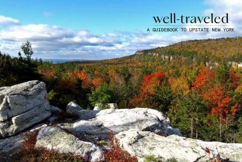 rocky area overlooking a field of trees with red and orange leaves