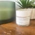best face moisturizer: Alpyn Beauty Plantgenius Melt Moisturizer 