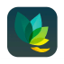 Oak meditation and breathing app logo