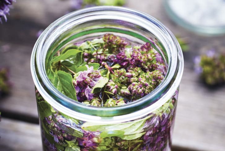 Oregano Flower-Infused Vinegar To Boost Your Immune System