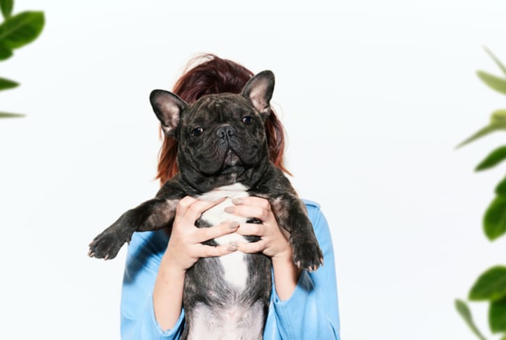 The Best Dog For Every Zodiac Sign