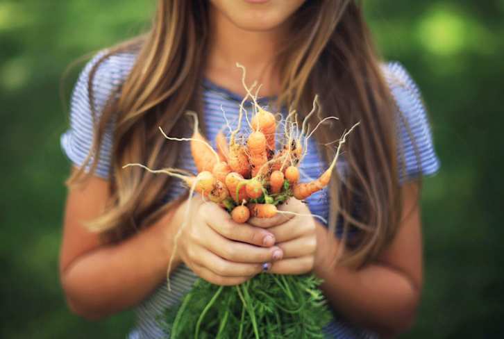 40 Million Americans Don't Have Access To Enough Food. These Companies Are Trying To Change That