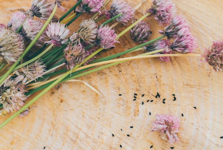 3 Ancient Herbal Cleanses That Show The Deeper Meaning Of Detoxing