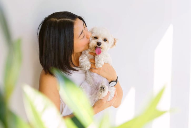 5 Reasons Dog Owners Are Healthier Than The Rest Of Us