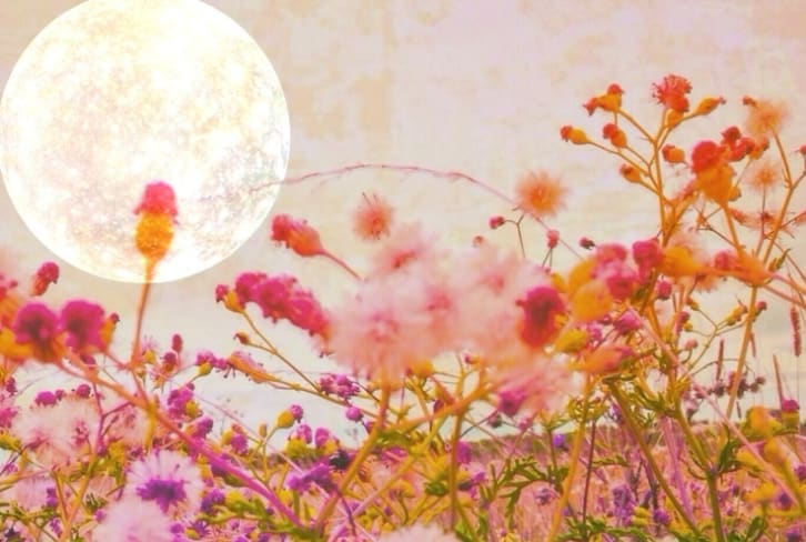 This Personalized New Moon Ritual Will Help You Manifest Your Heart's Desire