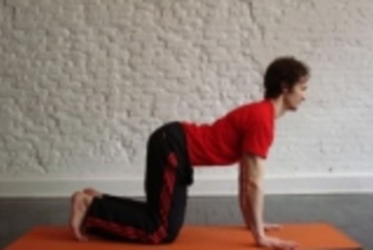 Cow Pose: How-to, Tips, Benefits