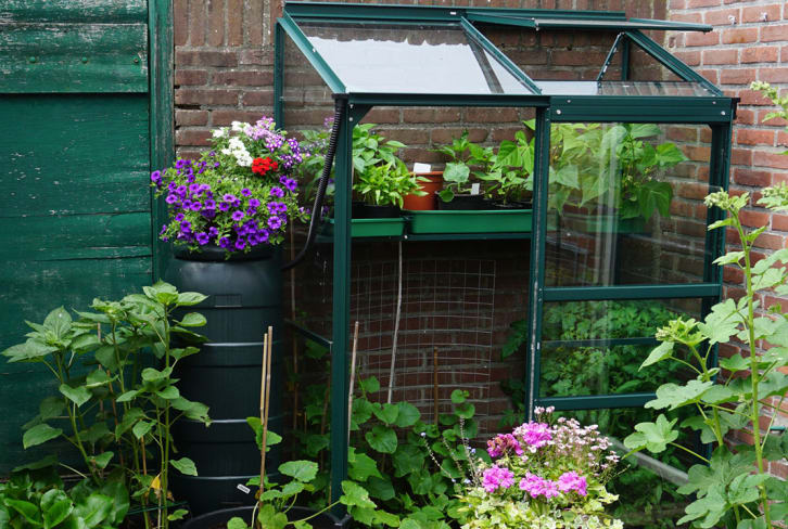 These Cute Mini Greenhouses Make It Easy To Grow *Any* Plant At Home