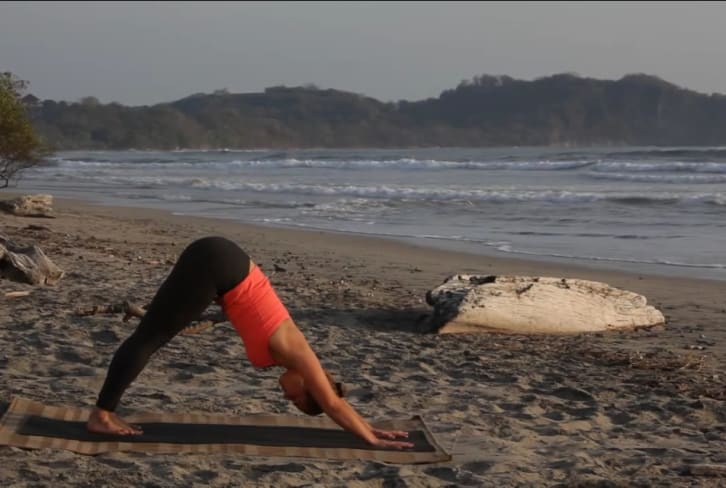 How To Jump (Not Step) Forward From Downward Dog