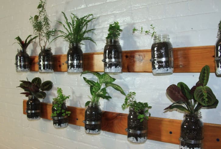 DIY: Build A Mason Jar Herb Garden