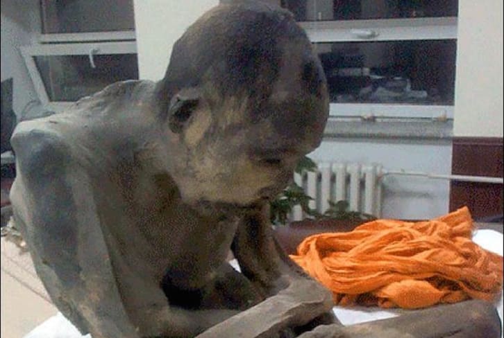 200-Year-Old Mummy In Mongolia Found Meditating In Lotus Position