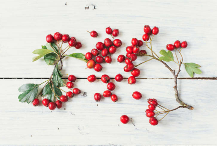 3 Reasons To Add Rosehip Oil To Your Skin Care Routine