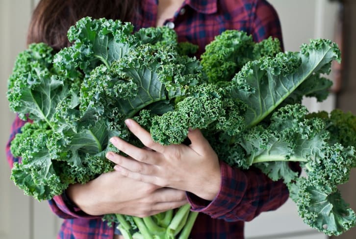 17 Things I Wish Everyone Knew About Kale