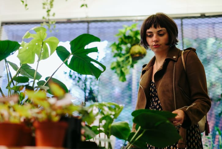 Houseplant Experts Have Spoken: These Are The Plants Even They Avoid