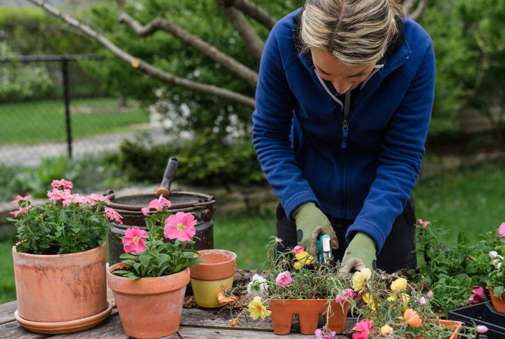 Want To Start A Garden This Year But Worried About Space? Try This
