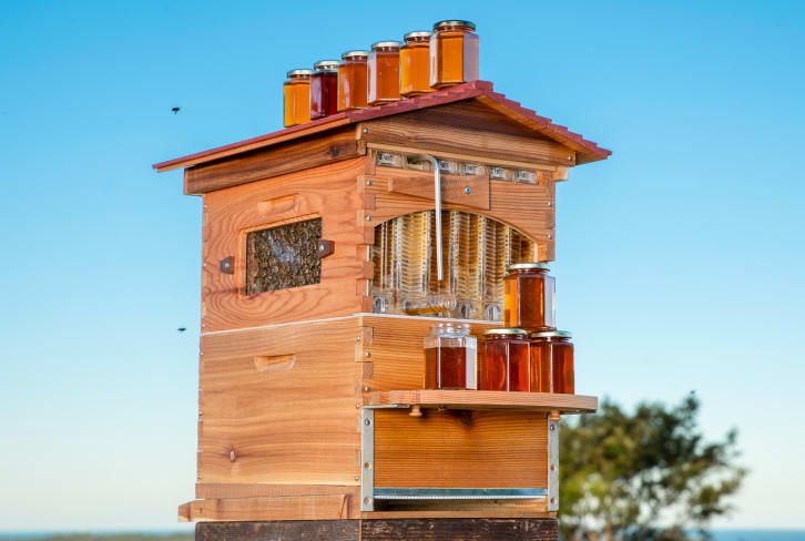 This Backyard Beehive Makes Harvesting Your Own Honey 10X Easier
