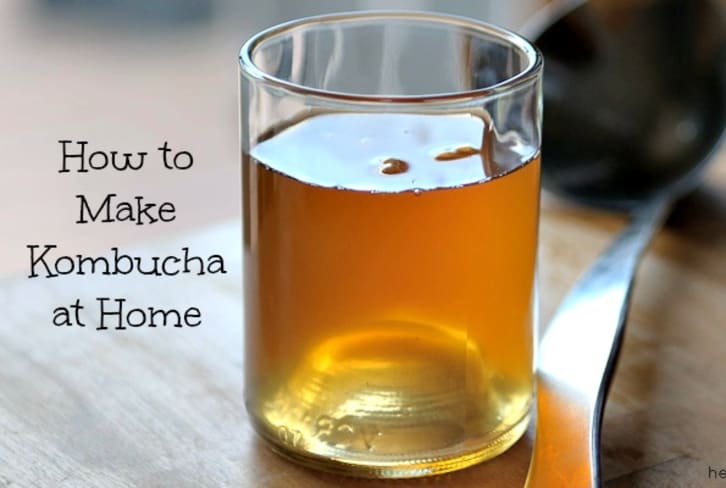 Make Your Own Kombucha: Yes You Can!
