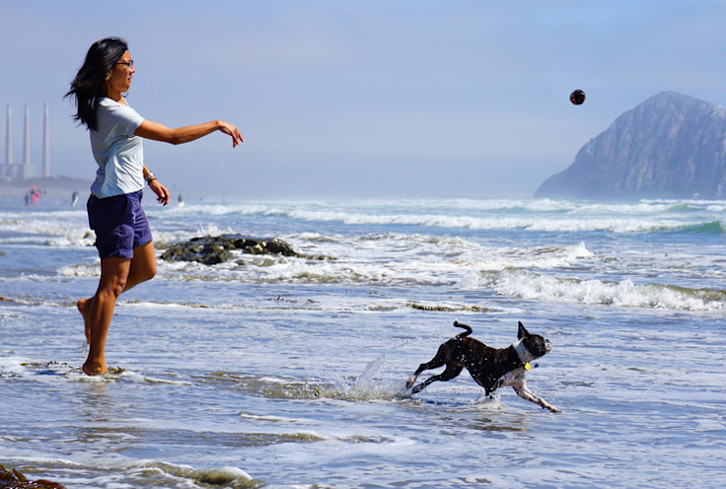 Is Getting A Dog The Best Thing You Can Do For Your Health?