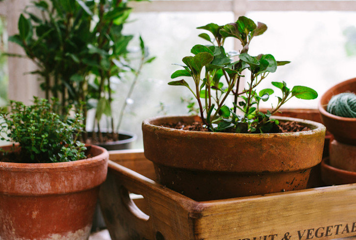 8 Kitchen-Design Hacks That Will Make Healthy Eating A No-Brainer