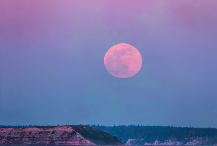 Read article: What The Pink Moon Is All About & How To Work With Its Energy
