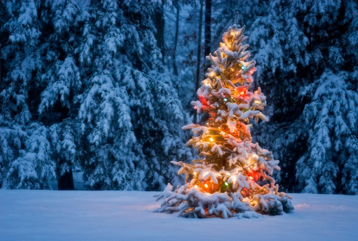 5 Tips To Enjoy A Restful & Nourishing Holiday Season