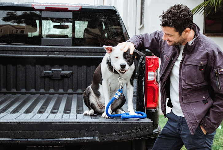 What No One Tells You About Traveling Cross-Country With Your Dog
