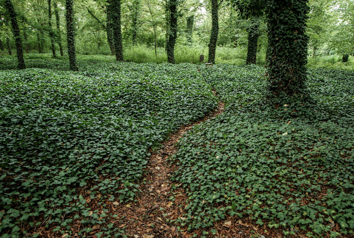 Why We All Need To Think About Our Funerals—For The Sake Of The Planet