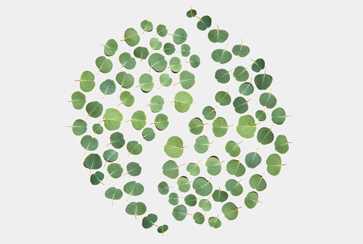 I'm A Chinese Medicine Practitioner: What I Wish People Knew About Yin & Yang