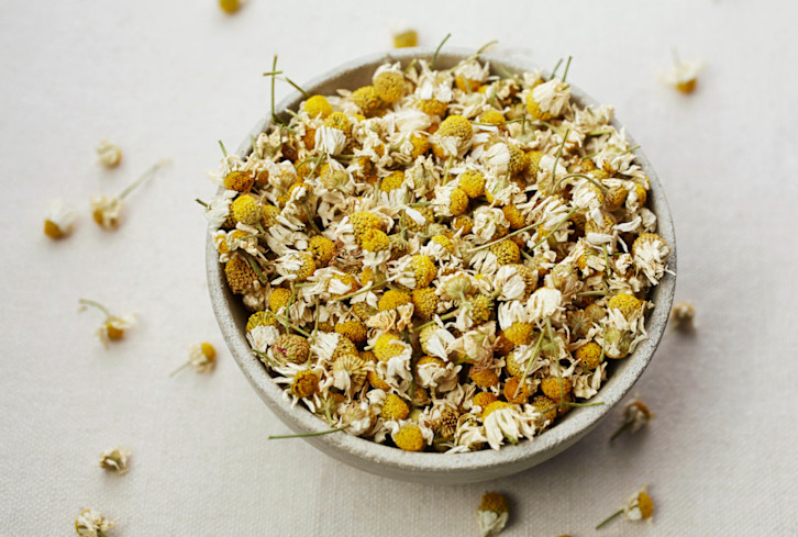 5 Edible Flowers With Potential Gut Health Perks & How To Use Them