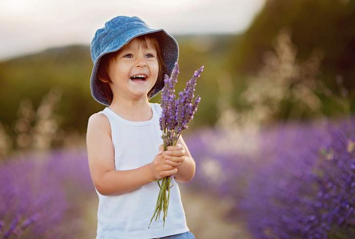 3 Plant-Based Lunches Toddlers Will Actually Love