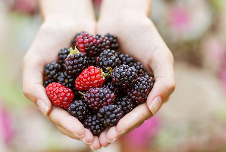 21 Flavonoid-Rich Foods To Help Anxiety