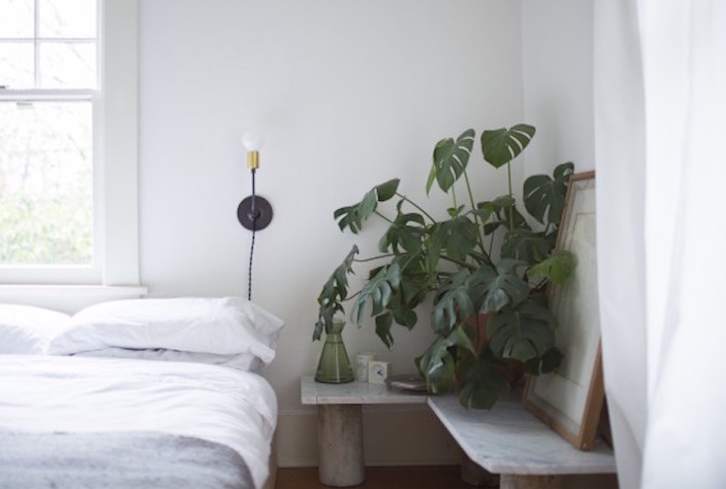 Want To Reduce Hidden Toxins At Home? 6 Things That Will Make It Way Easier