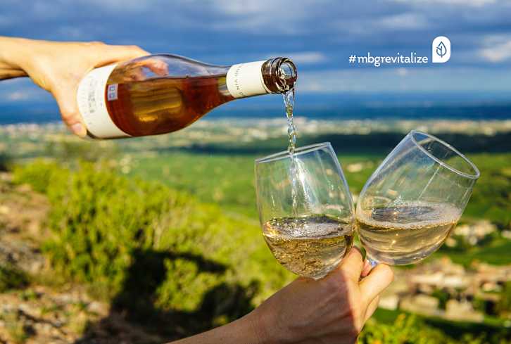 This Surprisingly Common Additive Makes Wine Way Worse For You — Is It In Your Bottle?