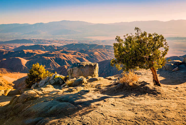 A Look Inside The California Water Crisis That Nobody's Talking About