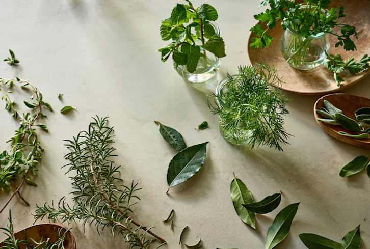 A Celebrity Nutritionist's Favorite Adaptogens For Stress Relief