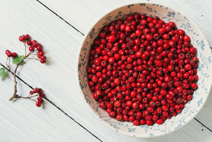 5 Herbs That May Power Up Your Digestion, According To Traditional Chinese Medicine