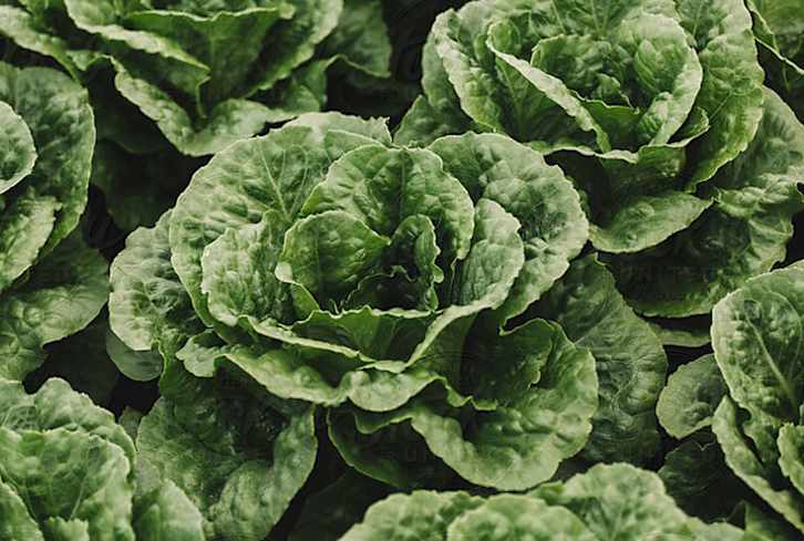 5 Ways I Build Strong Bones Without Dairy