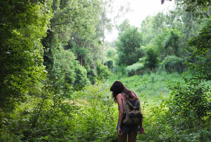 How Being In The Forest Actually Boosts Immunity, According To Science