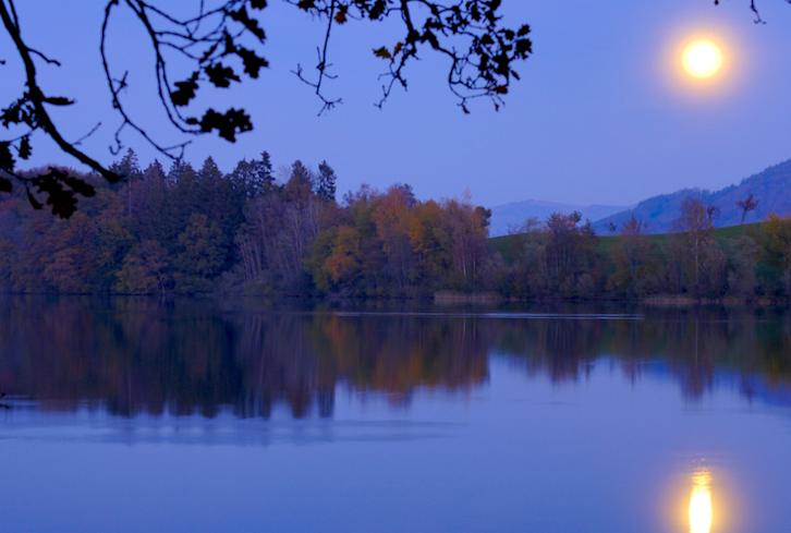 How To Harness The Power Of Tonight's Taurus Full Moon