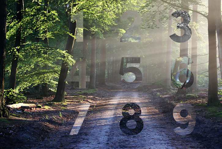 What Your Numerology Chart Can Tell You About Your Personality + Destiny