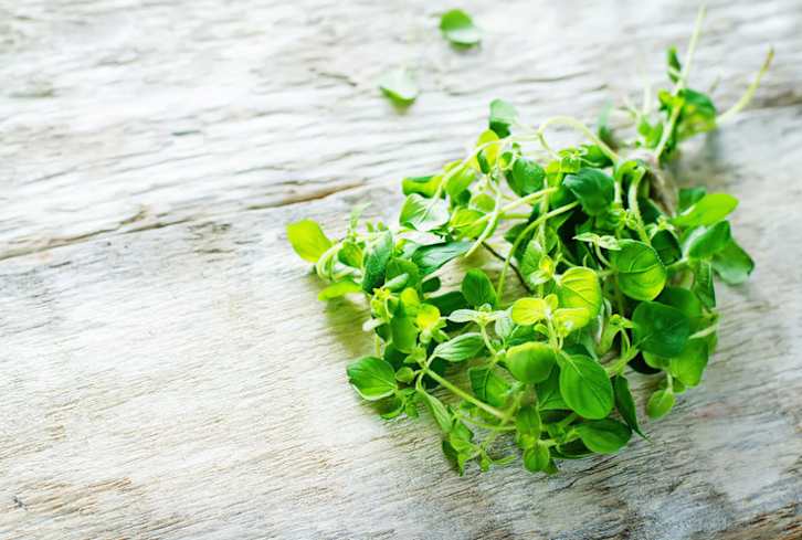 Give Your Immune System A Boost With These 3 Herbs & Spices