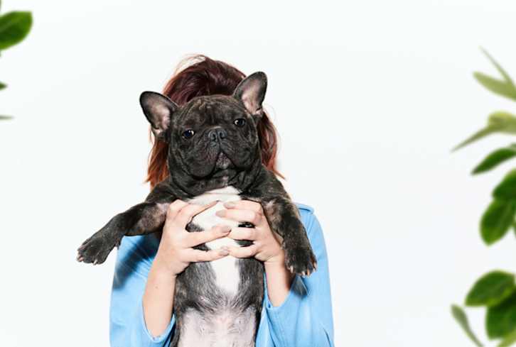 The Best Dog For Every Zodiac Sign