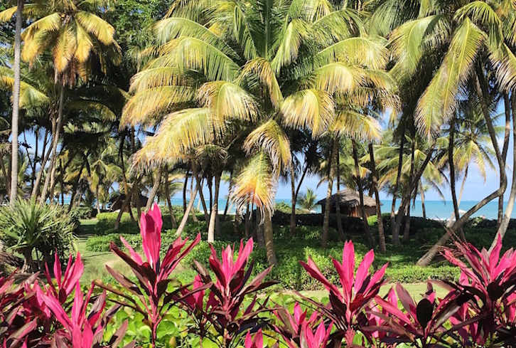 Happy Earth Day! Why The 'Green' In mindbodygreen Is So Important