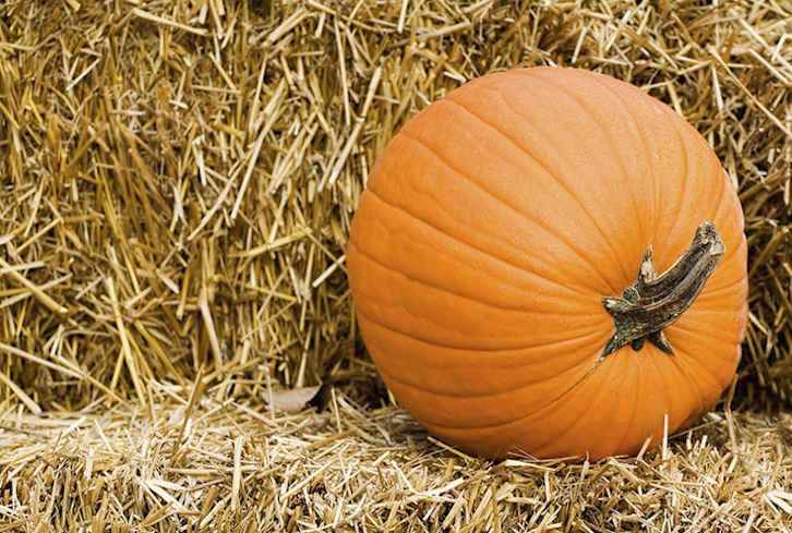 9 Exercises You Can Do With A Pumpkin (No Joke!)