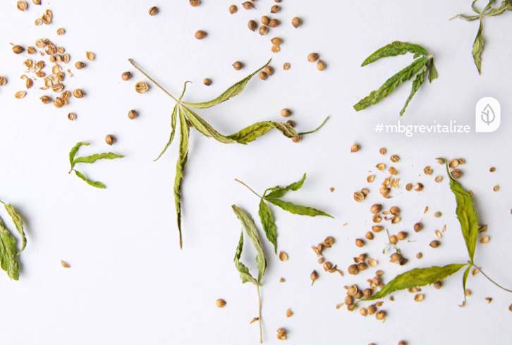 Have You Heard Of The Endocannabinoid System? It Rules Your Anxiety, Headaches & Pain