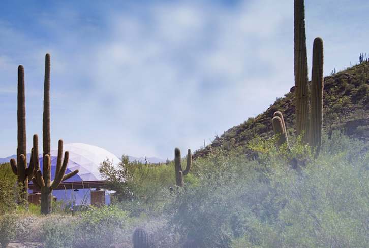 The Biggest Wellness Event Of The Year Is On The Horizon